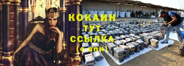 PSILOCYBIN Долгопрудный