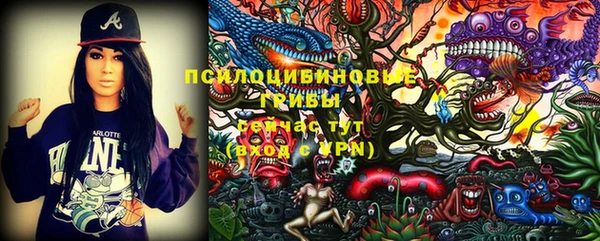 ешки Магас